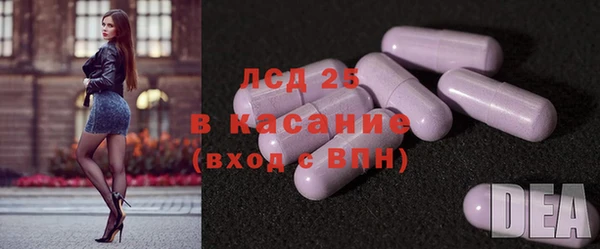 сатива Алзамай