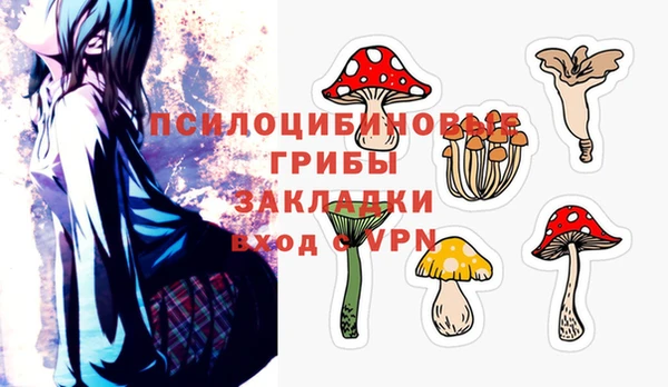 дживик Приозерск