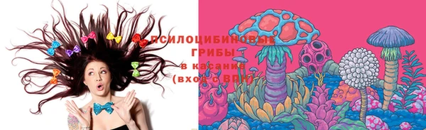 сатива Алзамай