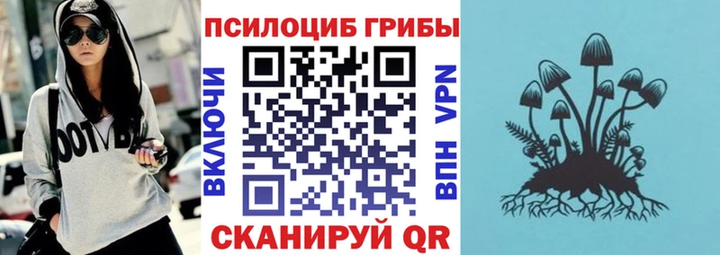 Галлюциногенные грибы прущие грибы Осташков